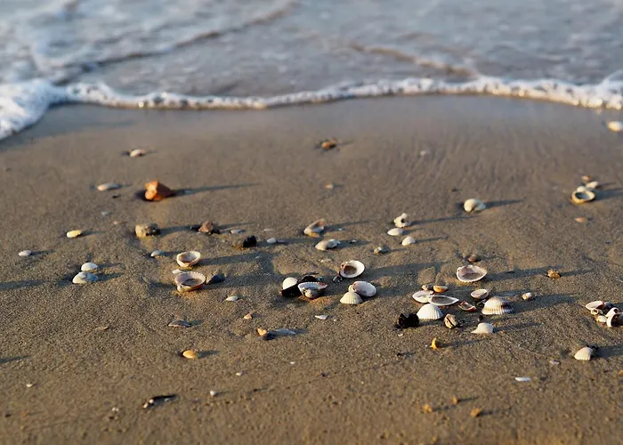 Peaceful With Garden Surrounded By Nature *