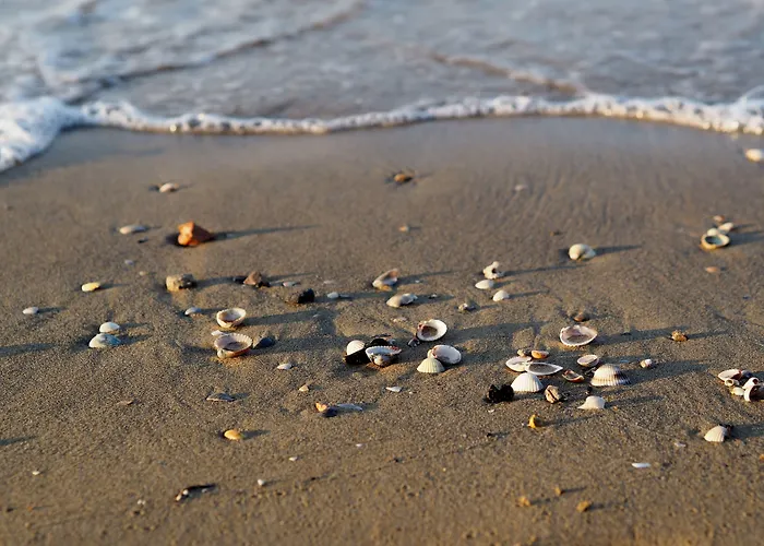 Peaceful With Garden Surrounded By Nature Bibione
